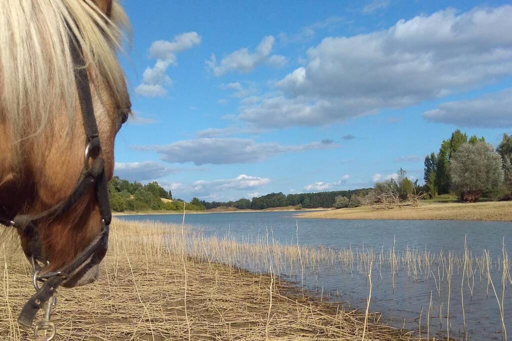 Gite En Pleine Nature Proche Du Lac De La Gimone Saint-Blancard エクステリア 写真