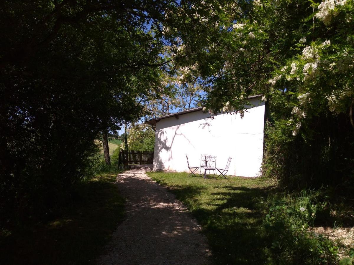 Gite En Pleine Nature Proche Du Lac De La Gimone Saint-Blancard エクステリア 写真